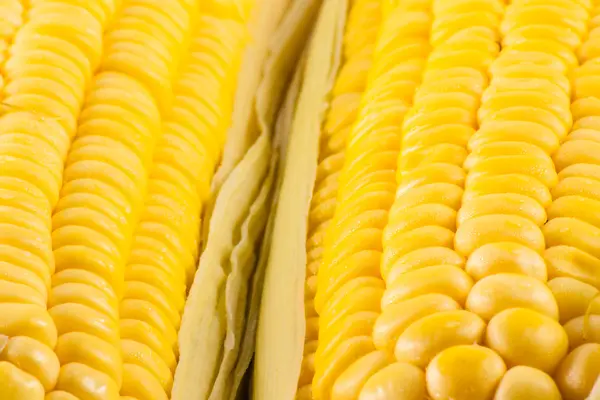 Зерна стиглої кукурудзи — стокове фото
