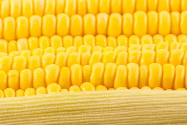 Érlelt kukorica szemei — Stock Fotó