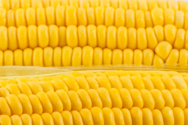 熟したトウモロコシの穀物 ロイヤリティフリーのストック写真