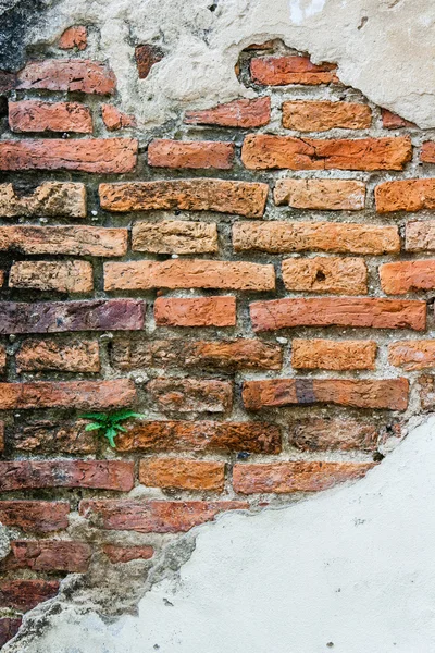 Трещины в стенах из бетона — стоковое фото