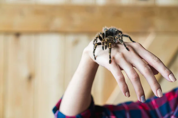 Spin Tarantula Arm Van Man Angst Voor Spinnen — Stockfoto