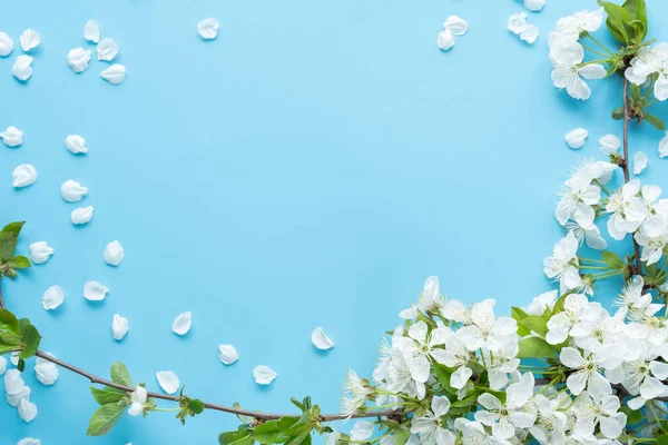 Flatlay Blauer Hintergrund Mit Einem Ornament Aus Einem Blühenden Zweig — Stockfoto