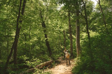  Yazın bir adam sırtında bir çanta ve şapkayla ormanda yürür. Durur ve gün ışığının açılışına bakar.