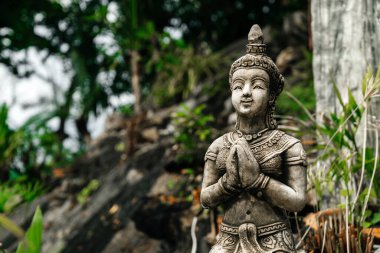 Tropik yeşillikte ve Asya ormanlarında dua eden bir adamın taş heykeli..