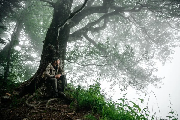 A man in camping clothes sits near a lonely old tree in a foggy morning forest and looks to the right. Calmness and silence and travel.