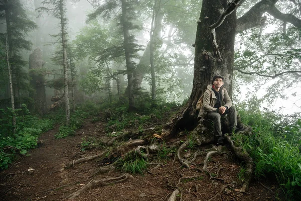 man in a hiking suit is resting near an old lonely tree in a foggy forest. Hiking, travel and outdoor recreation.