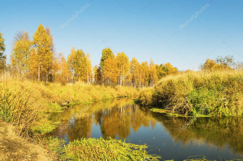 Осенний Пейзаж С Рекой Фото