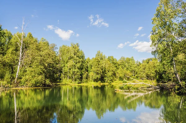 Hermoso paisaje de verano con lago — Foto de Stock