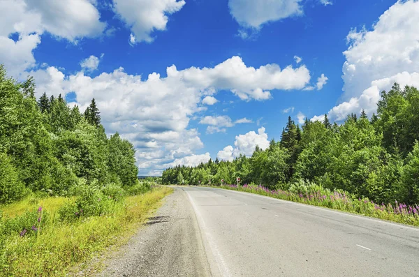 Beau paysage d'été avec route — Photo