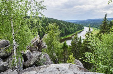 Nehirli yaz manzarası