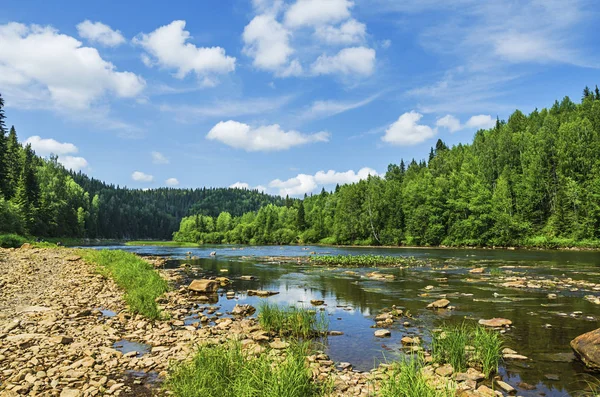 Vackert sommarlandskap — Stockfoto