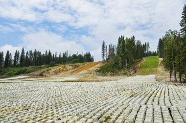 Boru hattı inşaatı