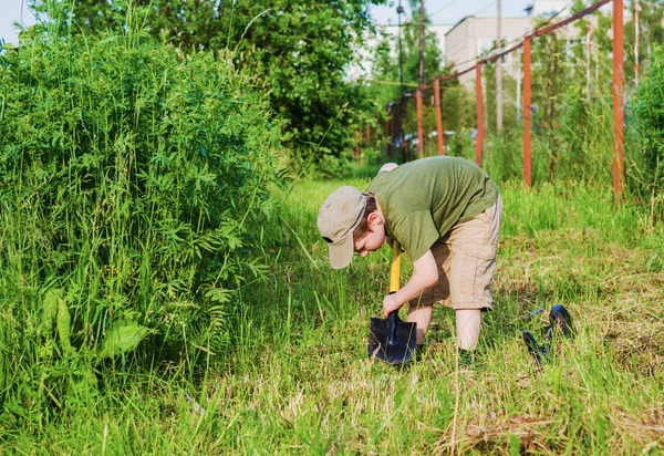 çocuk için hazine arıyor