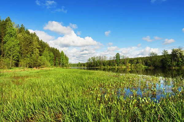 Beautiful summer landscape of the Urals — Stock Photo, Image