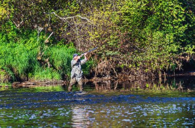 Avcı Avcılık ördek