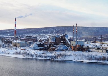 Kola bitki dağ eteklerinde