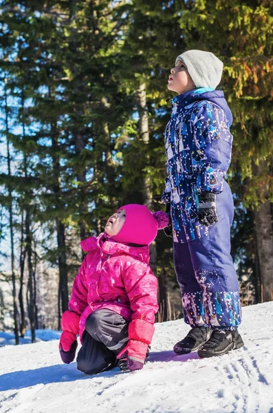 Barnen på en promenad i vinter skogen — Stockfoto