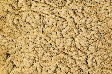 Kuraklık. Kırık dünya