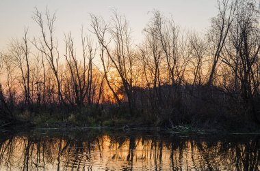 Sonbahar manzara. Rusya