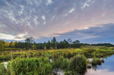 Güzel sonbahar manzarası