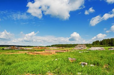 güzel kırsal yaz peyzaj