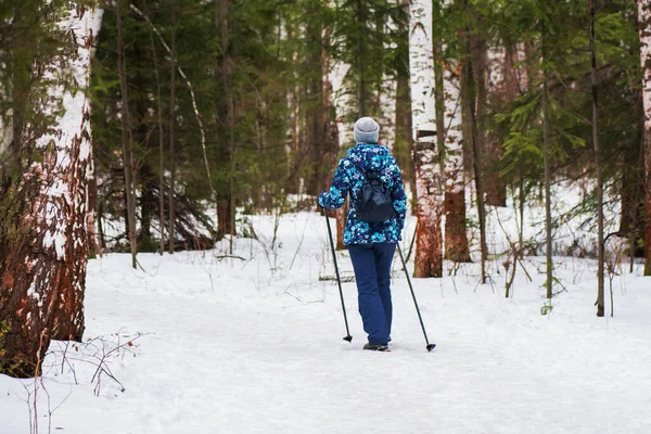 Woman Sportswear Engaged Nordic Walking Winter Forest — Stock Photo, Image