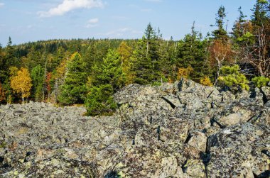 Bir sonbahar günü dağın yamacında taş taşıyıcısı