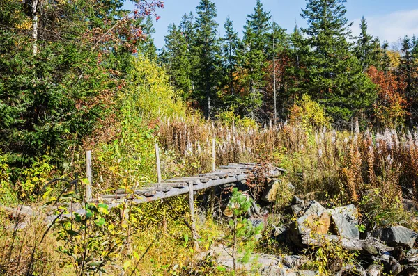 Krajina Dřevěným Mostem Přes Potok Barevném Podzimním Lese — Stock fotografie