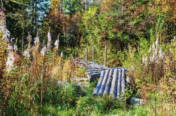 Krajina Dřevěným Mostem Přes Potok Barevném Podzimním Lese — Stock fotografie