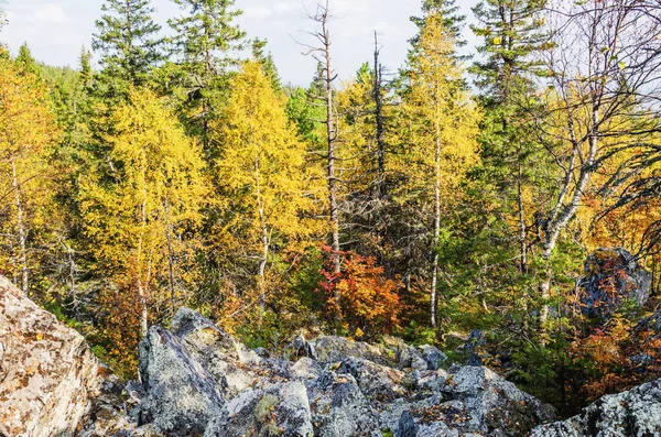 Krásný Podzimní Les Úbočí Hory Jasného Slunečného Dne — Stock fotografie