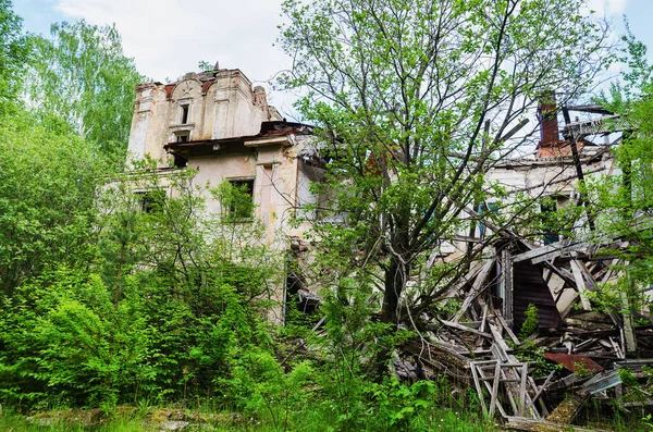 放棄された療養所の木で覆われた破壊された建物夏の日に森の中の モルタイエヴォ湖 — ストック写真