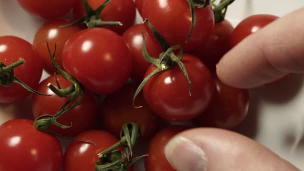 Tomates de cereja de tomada de Closeup tigela — Vídeo de Stock