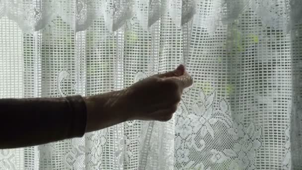 Closeup de mulher anônima admirando cortinas de janela de renda — Vídeo de Stock