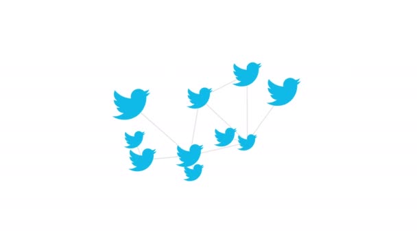 Twitter Online Notícias e redes sociais Logo Conceptual Network — Vídeo de Stock