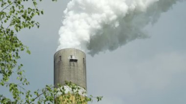 Endüstriyel duman yığını olarak Co2 oksijen kavramı için ağaç Closeup ile çerçeveli