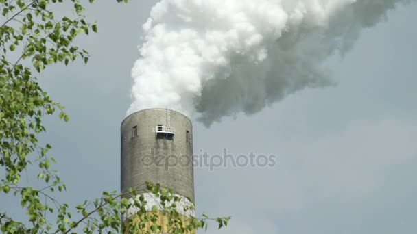 Industriële rook Stack omlijst met boom close-up als Co2 met zuurstof Concept — Stockvideo