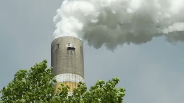 Camino industriale che fuma con albero foglia in primo piano — Video Stock