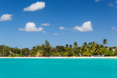Bir katamaran Carlisle Bay Barbados'taki sahilden görünümünü