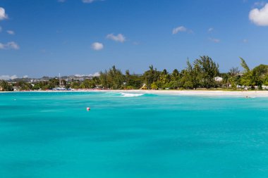 Bir katamaran Carlisle Bay Barbados'taki sahilden görünümünü