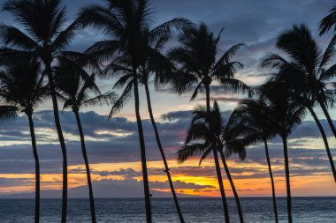 Hawaii'de gün batımı