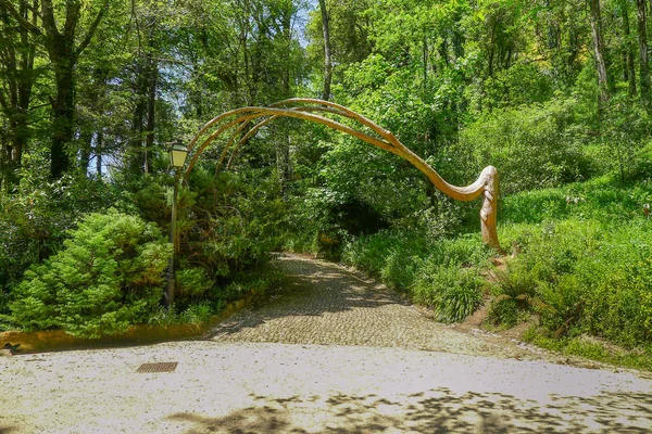 Tree curving round in a park in Sintra in Portugal