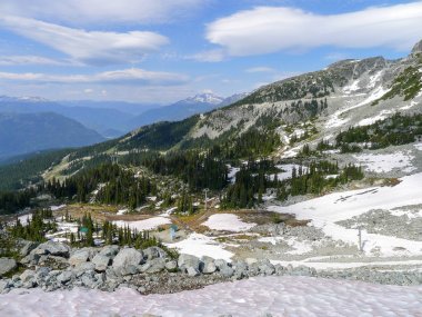 Yaz aylarında Whistler görüntülemek