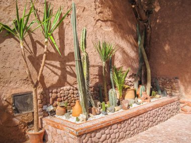 Bahçe Marakeş Fas Afrika