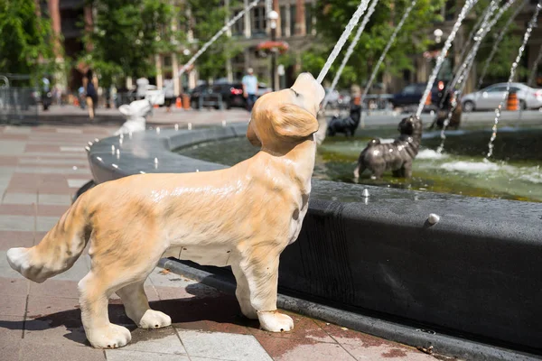 Dog Fountain in St Lawrence Market district of Toronto — Stock Photo, Image