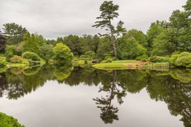 Northeast Harbor Mo yakınındaki ana yol alınan bir göl manzarası