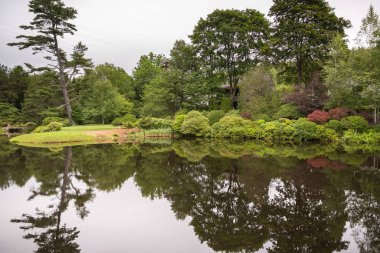 Northeast Harbor Mo yakınındaki ana yol alınan bir göl manzarası