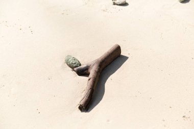 Kota Kinabalu içinde güzel bir plaj