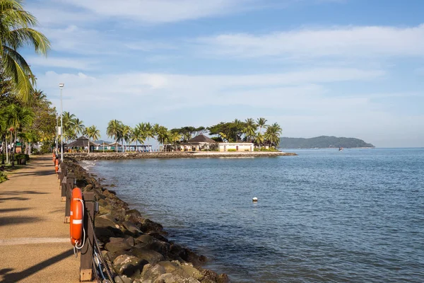 Malezya plajda palmiye ağacı