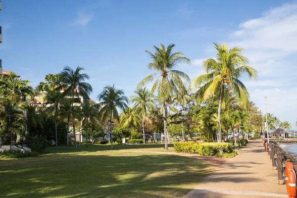 Palmera junto a la playa en Malasia — Foto de Stock