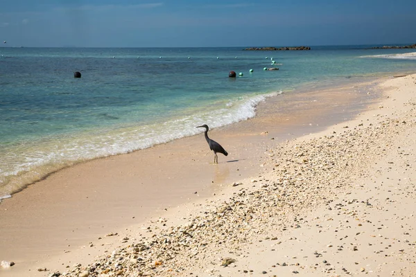 Una hermosa playa en Kota Kinabalu — Foto de Stock